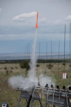 Midge -Quest Shop 1b80992969c1b559c32204c7759b5891.image .466x700