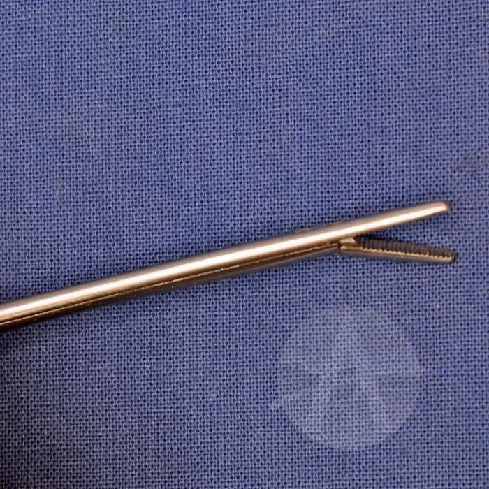 Alligator Forceps 6 Alligator Forceps - Image 4