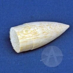 Corporal -Quest Shop 5381adaab9ee613d41b71a22efc42d15.image .700x700