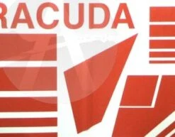 Barracuda -Quest Shop 619bbd81fa42d8bf7e948397c14f39bc.image .300x235