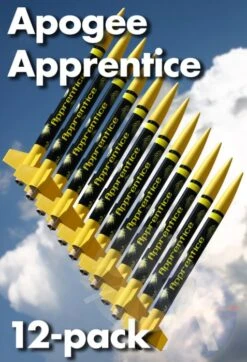 Apprentice - 12 Pack