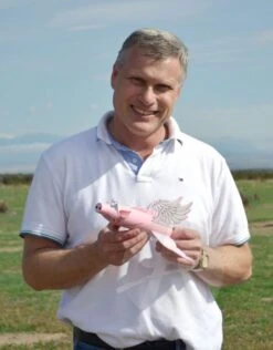 Pigasus -Quest Shop 96562c058a5ef7a6752a4291c4bdcd02.image .548x700