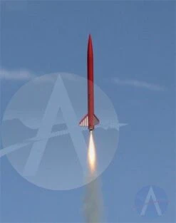 Cheetah 7 Cheetah -Quest Shop 9c709d01a6b408f60dcaa88ef5b2e009.image .306x388