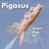 Pigasus -Quest Shop a1b350503b7b4cde7f3c0fcb34c768d5.image .538x538