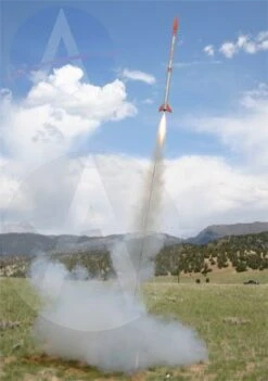 Barracuda -Quest Shop af9b7f5ba3e3b0ad06158caa1f97a15d.image .306x435