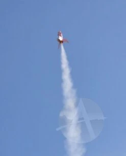 Pigasus -Quest Shop b70cd7176077ea5fceb31178e4ae77bb.image .567x700