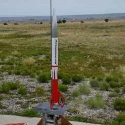 Peregrine Jr. -Quest Shop e3f4d866f44a2d2328e0cd96aa52bc06.image .700x700